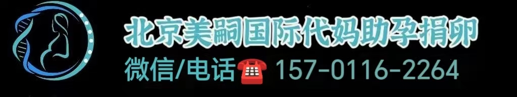美国三代试管婴儿